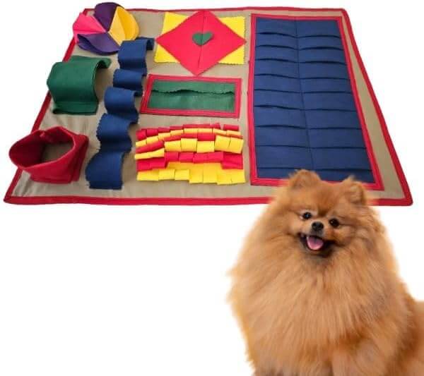 Tapete interativo pet colorido e um Spitz Alemão