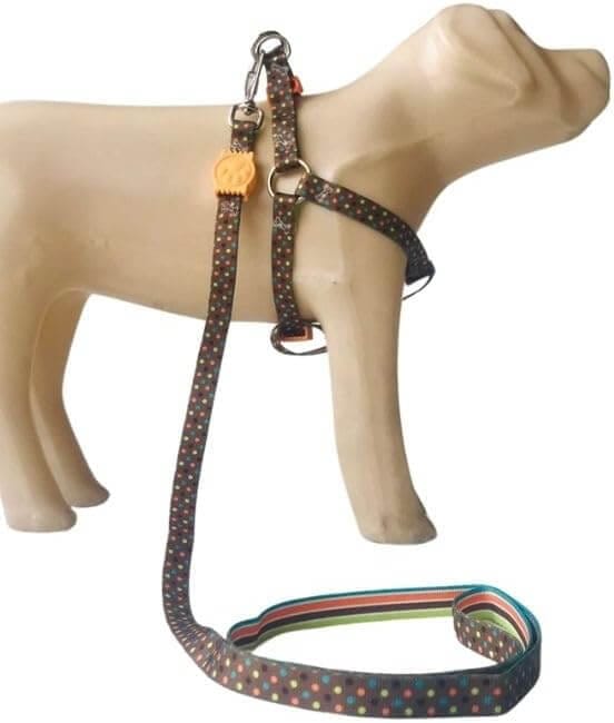 modelo de peitoral anti puxão em um cão manequim