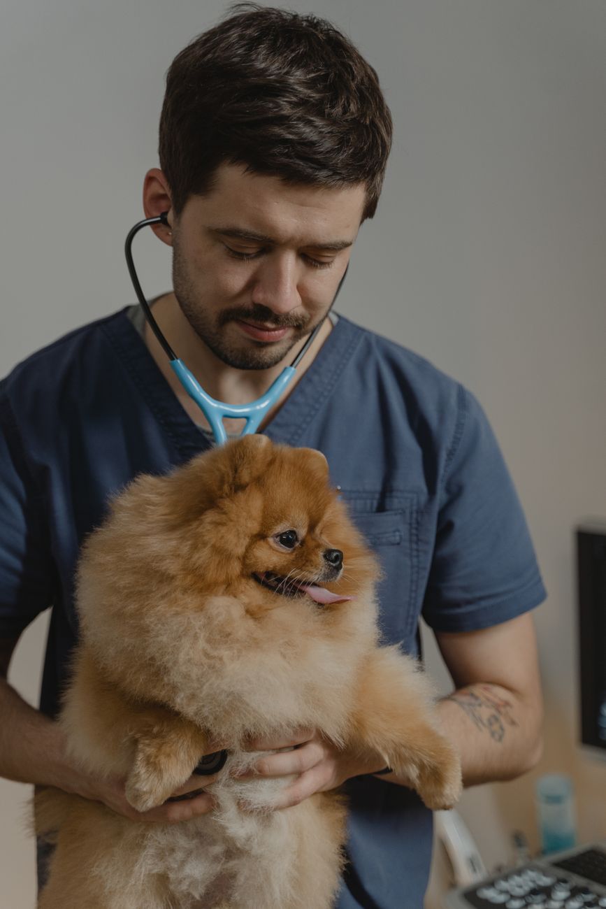 man wearing stethoscope holding a dog
