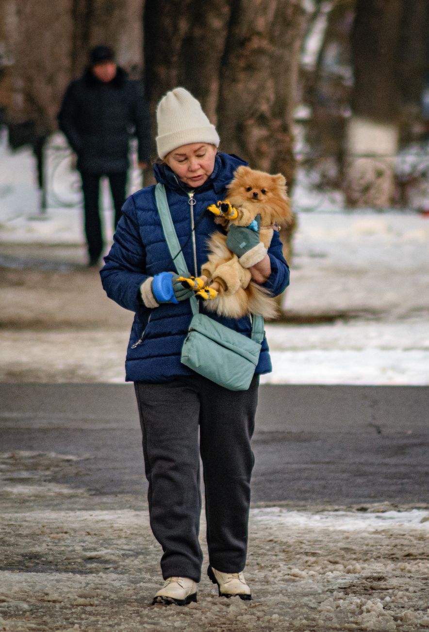 woman carrying dog in winter
